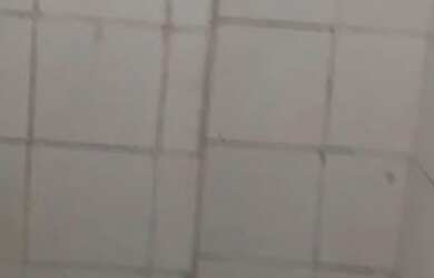 Imagem 9: Casa com Quintal. Varanda, 120m² de Área, 1 Vaga na garageme3 Dormitórios