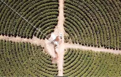 Imagem 9: Fazenda à venda, 10 quartos, 1 suíte, Área Rural de Unaí - Unaí/MG
