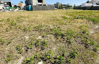 Imagem 8: Terreno à venda no Condomínio Vista Lagoa de Alto Padrão e bem arborizado