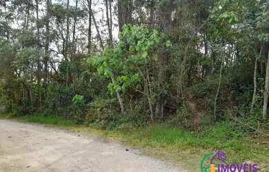 Imagem 15: AREA - INVERNADA - SP. 1.551m² de Área