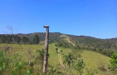 Imagem 6: Vendo fazenda. 62.000m² de Área