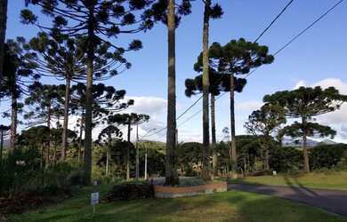 Imagem 7: Terreno com 1.318,34m² em Piraquara - Condomínio Residencial Betaville