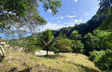Imagem 3: Terreno à venda, 814 m² por R$ 890.000 - Siriúba I - Ilhabela/SP