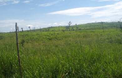 Imagem 11: É Terra Demais Meu Deus Fazenda à Venda no Sul Do Pará - 950 alqueirões