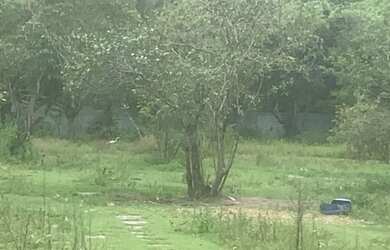 Imagem 3: Terreno em Itaipuaçu. 3.000m² de Área