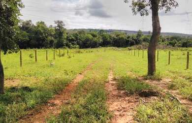 Imagem 5: Vendo excelente fazenda. 
