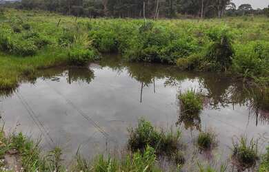 Imagem 2: Vendo excelente fazenda. 
