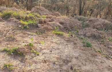 Imagem 4: Lotes. 710m² de Área