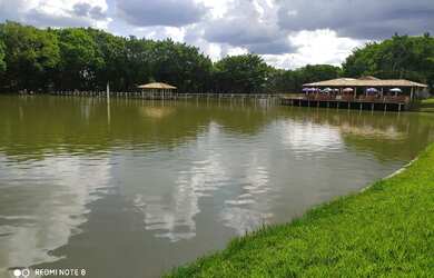 Imagem 3: Pesque pague em Guapó