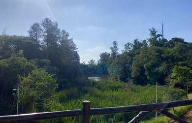 Imagem: A casa em condomínio possui 3 Dormitórios, 5 Banheiros, 4