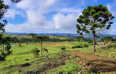 Imagem: A fazenda possui 20.000m² de Área e está localizado em Urubici