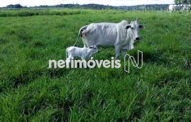 Imagem 15: Venda Fazenda Fazenda Exemplo Cachoeira