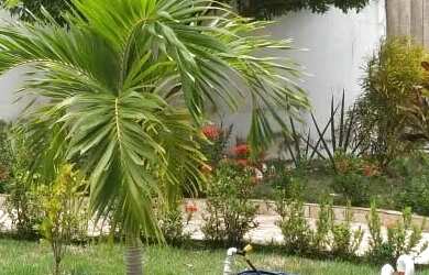 Imagem 2: Aluga-se Casa Jauá- Carnaval 2026 (Condominio Moradas da Lagoa