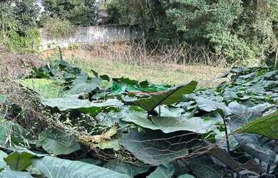 Imagem: O terreno possui 600m² de Área e está localizado em Jardim
