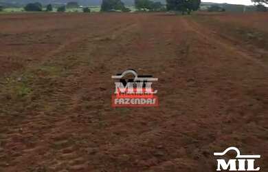 Imagem 10: Fazenda 90 Alqueires 440 Hectares Caiaponia - GO