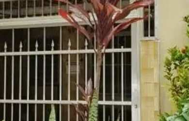 Imagem 14: CASA ASSOBRADADA - IPIRANGA - SP