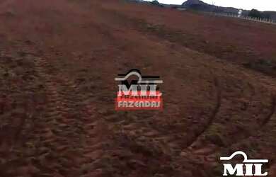 Imagem 8: Fazenda 90 Alqueires 440 Hectares Caiaponia - GO