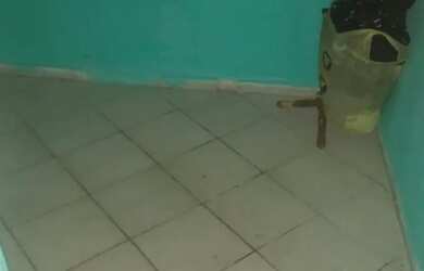 Imagem 5: Casa a venda. Varanda, 1 Banheiroe2 Dormitórios