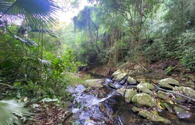 Imagem 8: Terreno à venda, 814 m² por R$ 890.000 - Siriúba I - Ilhabela/SP