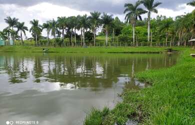 Imagem 2: Pesque pague em Guapó