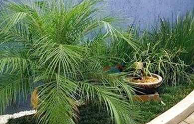 Imagem 3: Casa com 2 dormitórios à venda, 160 m² por R$ 250.000 - Residencial...