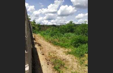 Imagem: O terreno possui 1.000m² de Área e está localizado em Cravinhos