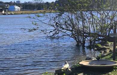 Imagem 3: Terrenos em local alto Viamão