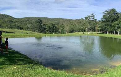 Imagem: A fazenda possui 15m² de Área e está localizado em Jaraguá