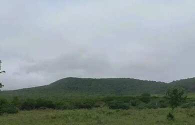 Imagem: A fazenda possui 3.000.000m² de Área e está localizado em