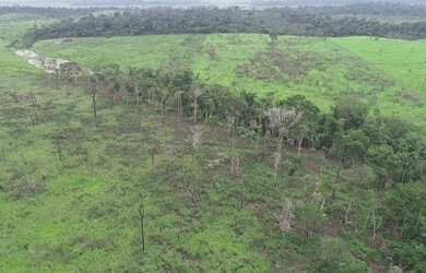 Imagem 4: Vende fazenda no Pará. Imóvel novo