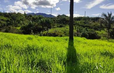Imagem 2: Vendo ou troco por casa ou terreno em boa vista