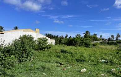 Imagem 1: Terreno / Sarnei