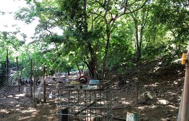 Imagem 10: Chácara 01 hectares valor 250.000 JK goias