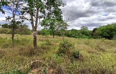 Imagem 7: TERRENO RURAL 5.264 m² - / ANTÔNIO OLINTO - MONTES CLAROS MG