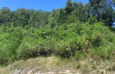 Imagem 2: Sitio - Bairro Linha Ávila