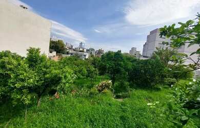 Imagem 8: CAXIAS DO SUL - Terreno Padrão - PIO X