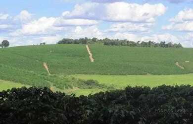 Imagem 5: Linda fazenda para venda em Bom Sucesso MG