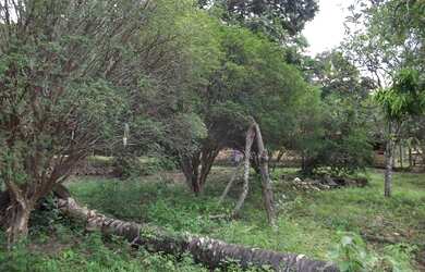 Imagem 8: Linda fazendinha de 5,6 hectares as margens do Rio WhtsAAP Guilherme