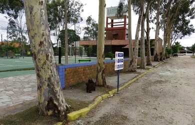 Imagem: A casa possui 4 Dormitórios, 3 Vagas na garagem e está localizado