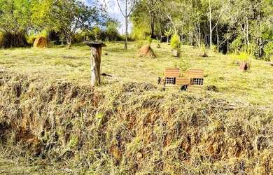 Imagem 9: Chácara de 2.000m2 com Casa (Agua+Luz) a 10km de Cons. Lafaiete - R$275.000,00