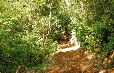 Imagem 13: Sitio - Bairro Linha 28. 160m² de Área