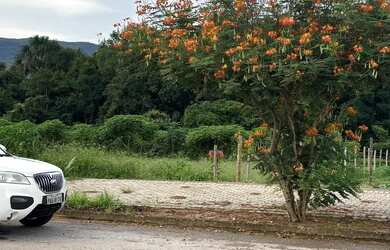 Imagem 3: ÁGIO LOTE PALMEIRAS 3. 360m² de Área