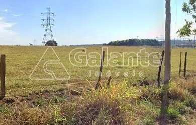 Imagem 9: área - João Aranha - Paulínia