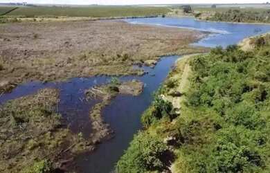 Imagem 10: Fazenda à venda, 10 quartos, 1 suíte, Área Rural de Unaí - Unaí/MG