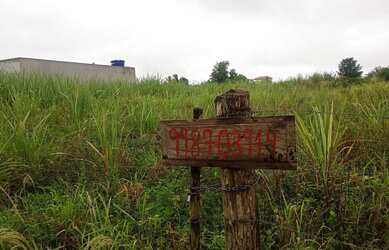 Imagem: O terreno está localizado em Santo Amaro de Campos Mussurepe