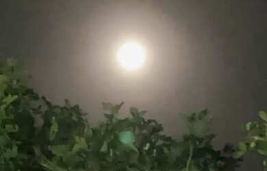 Imagem 15: Vendo ou troco. Varanda, 225m² de Área, 5 Vagas na garageme1 Dormitório