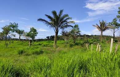 Imagem 6: Vendo ou troco por casa ou terreno em boa vista
