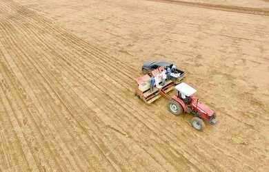 Imagem: A fazenda está localizado em Araguaiana, MT à venda por R$50.960.000