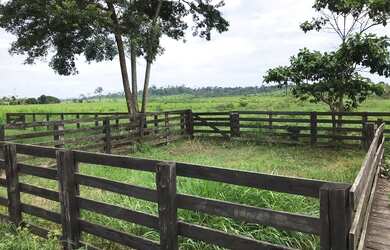 Imagem 2: Vende fazenda no Pará. Imóvel novo