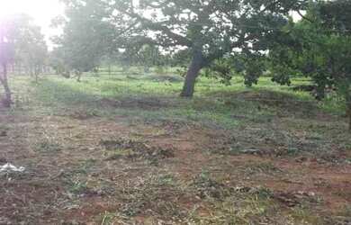 Imagem: A chácara está localizado em Jaboticatubas, MG à venda por